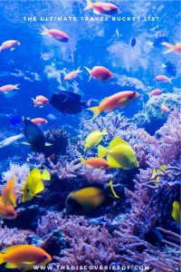 Australia Travel Guide