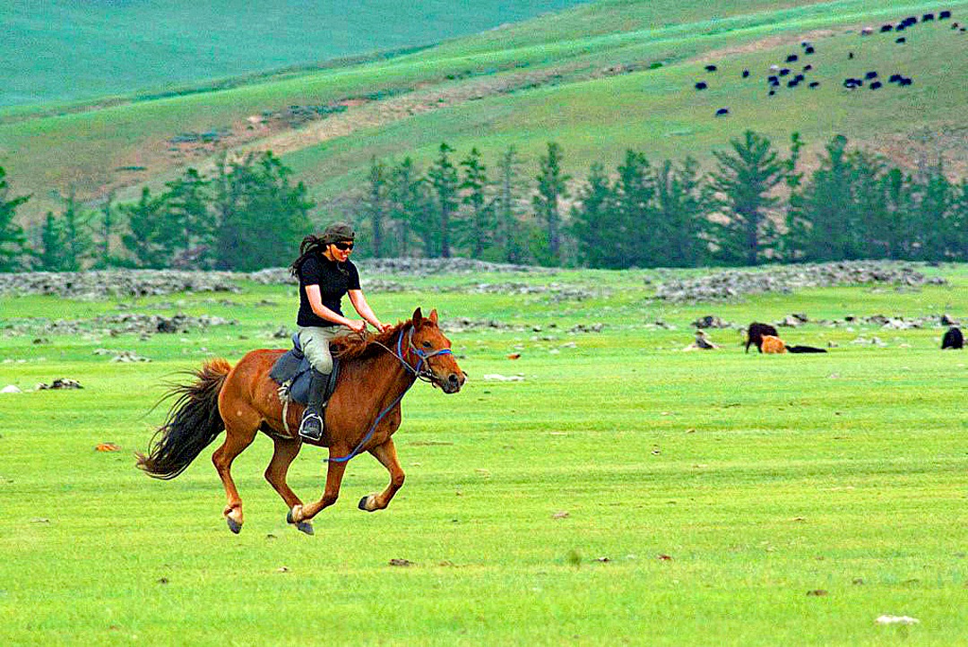 Mongolia rider