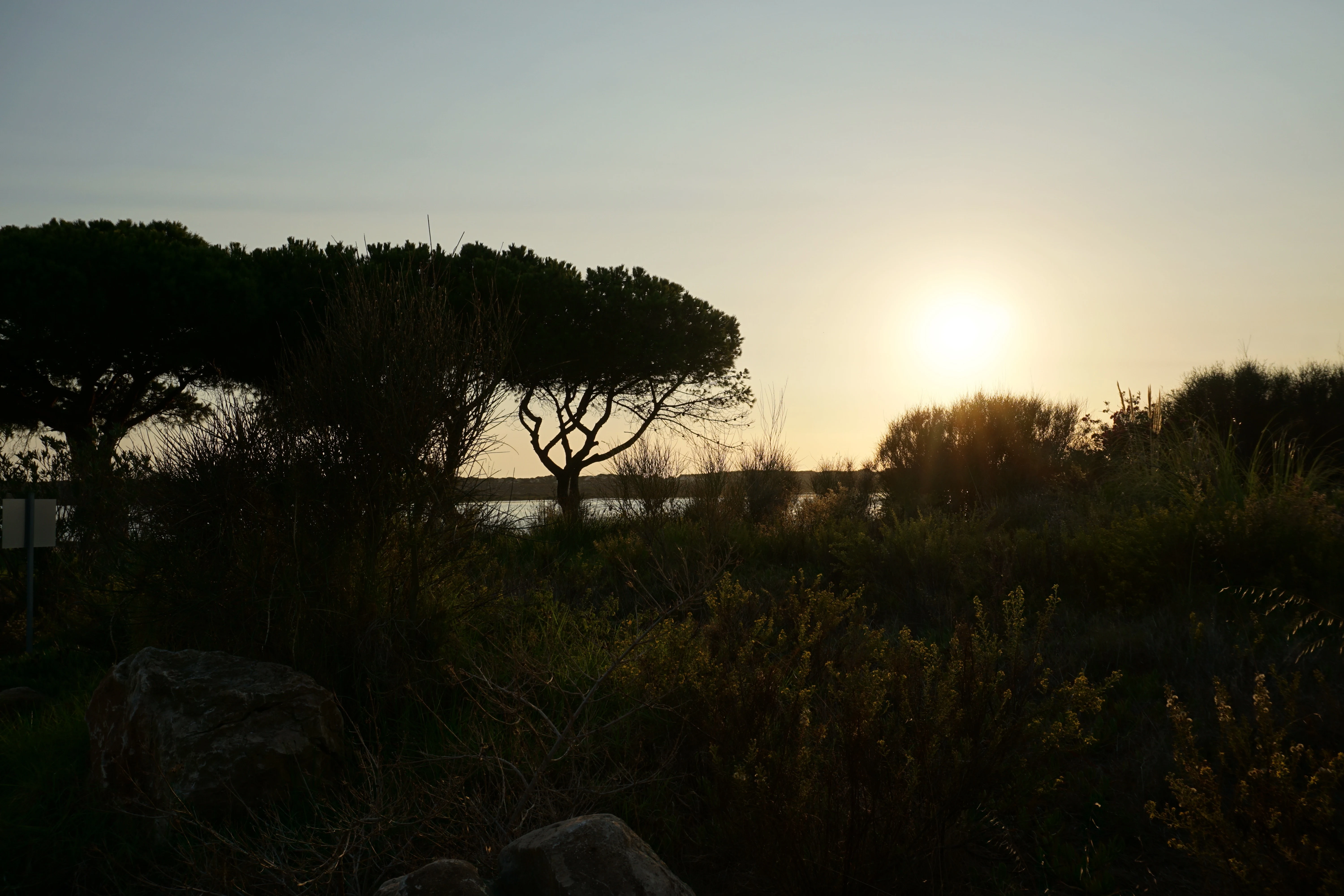 Rio Formosa Natural Park