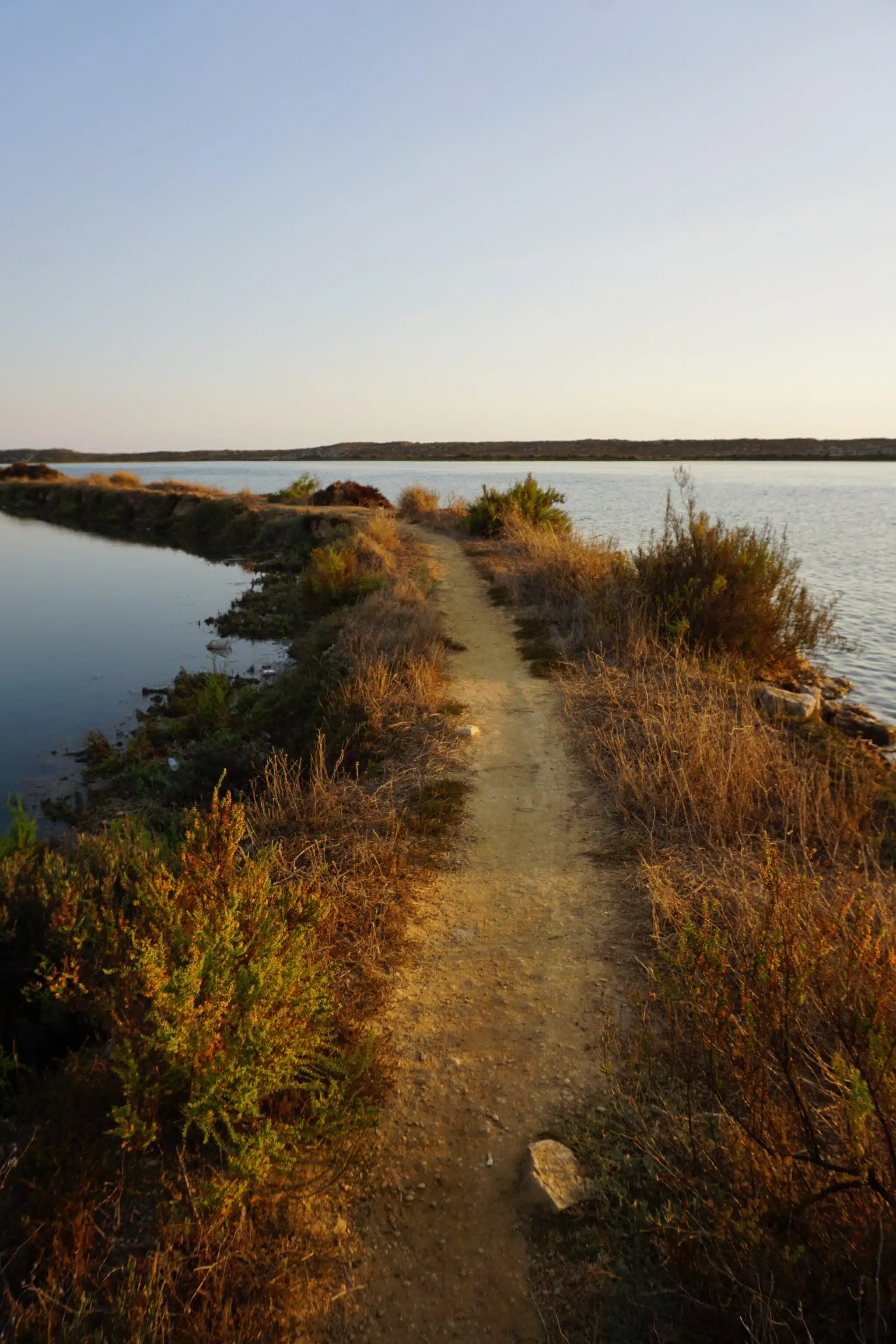 A sandy path between the lagoon and salt marsh scrub in the Ria Formosa Natural Park near Quinta do Lago