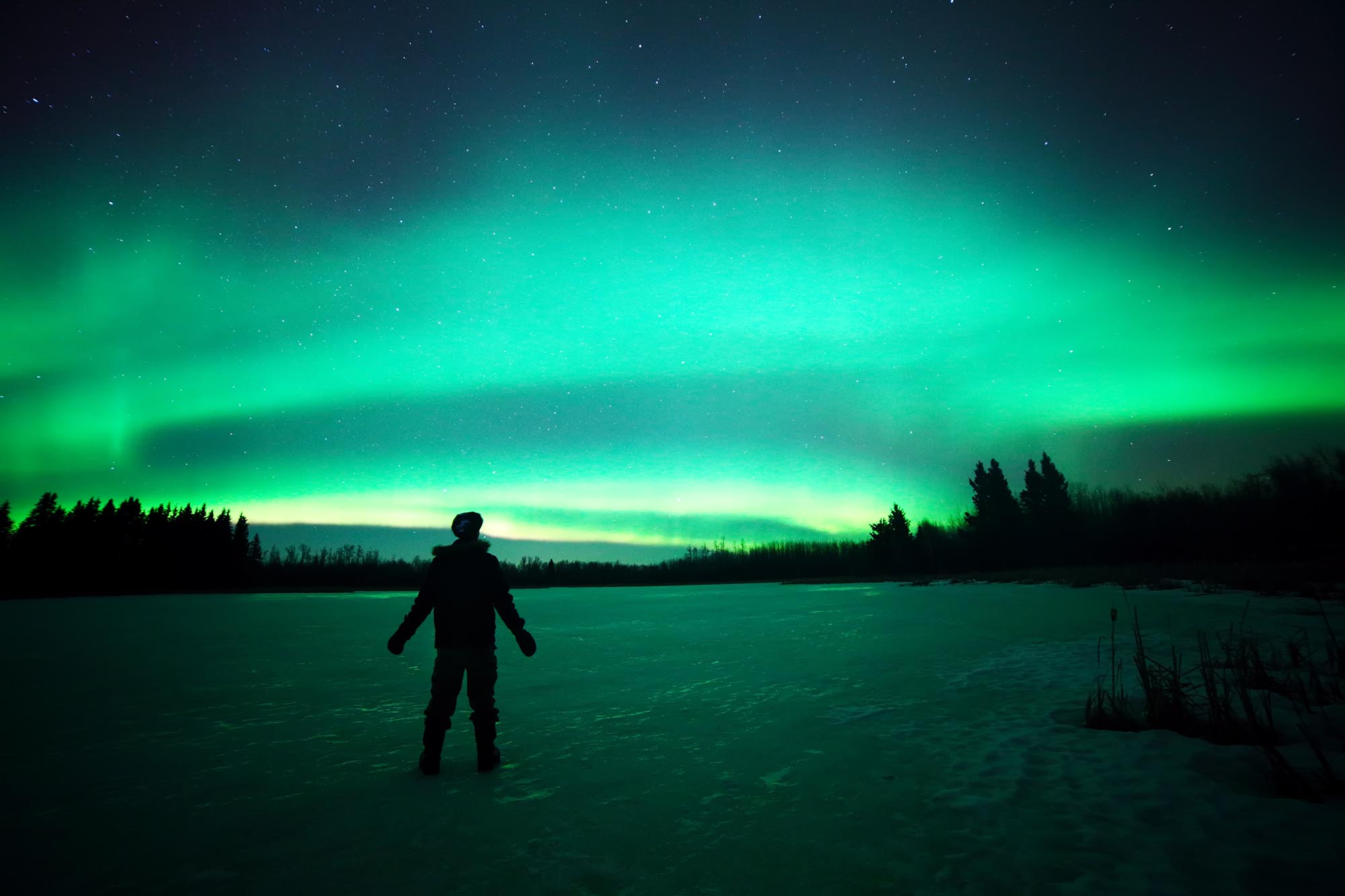 When Is The Best Time To See The Northern Lights The Discoveries Of