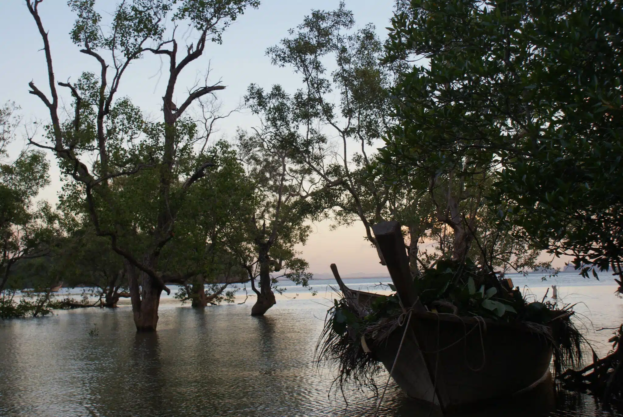 Postcards from Thailand: Railay, Krabi Photo Journal - Gorgeous sunset in the mangroves