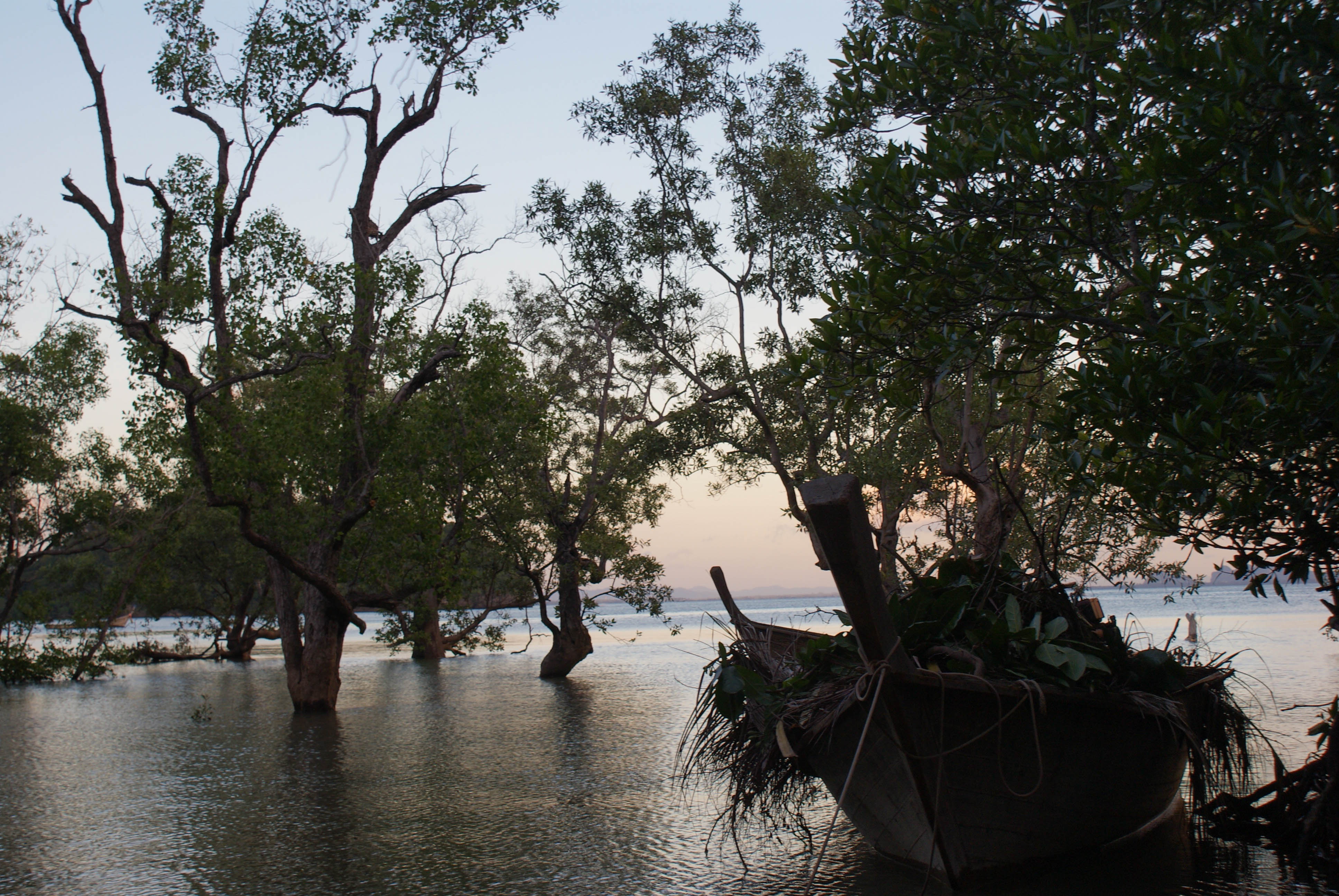 Postcards from Thailand: Railay, Krabi Photo Journal - Gorgeous sunset in the mangroves