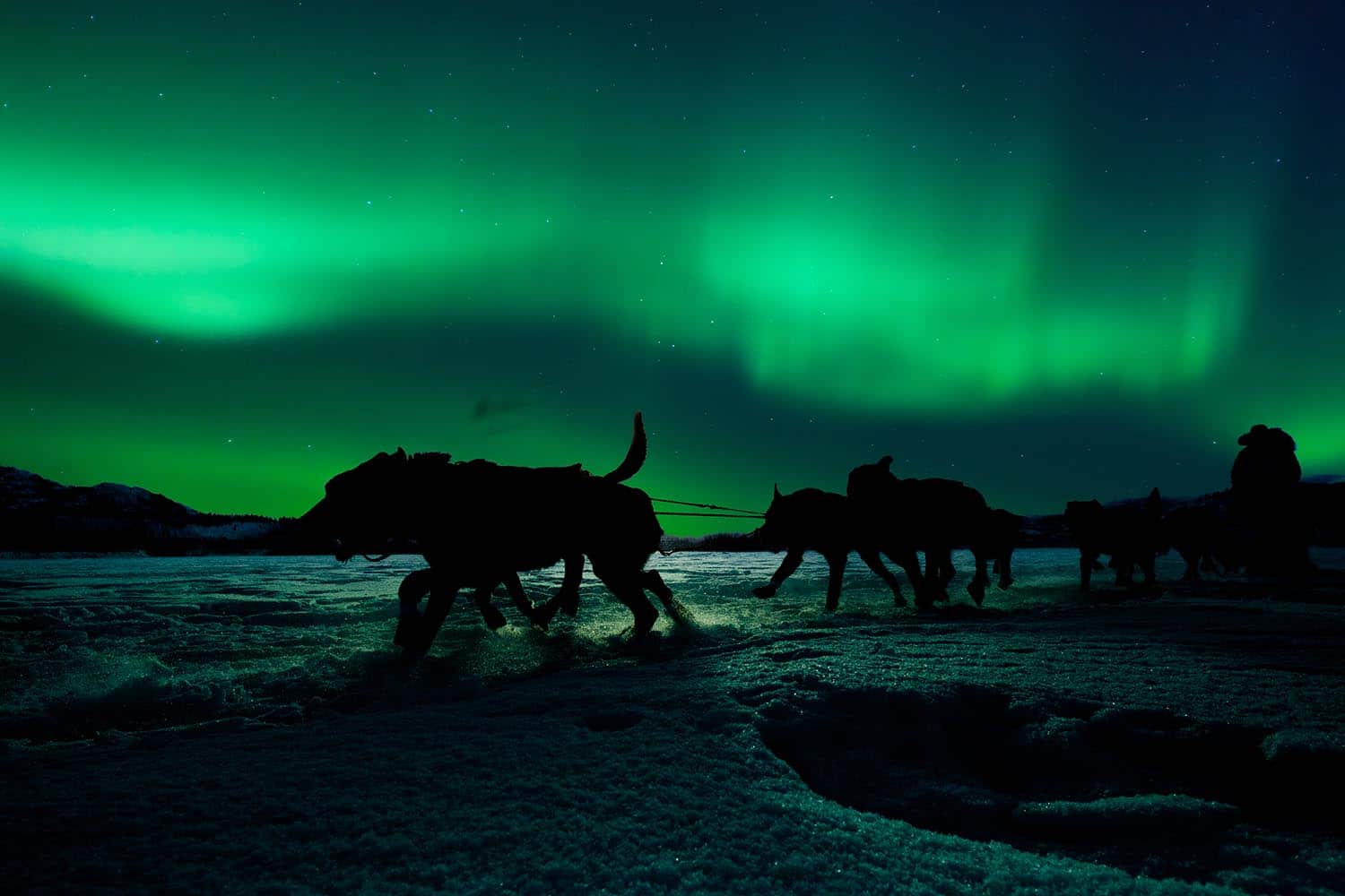 seeing the Northern Lights in Canada's Yukon territory - with huskies!