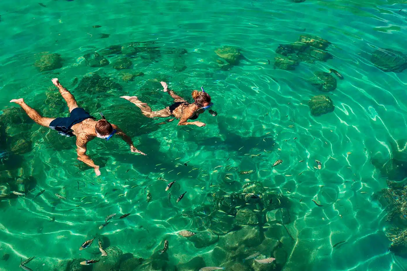 Snorkelling in the Musandam