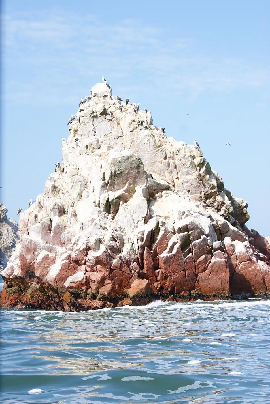 Ballestas Islands I South America Travel Bucket List. 90 Awesome Things to do in South America When Backpacking and Travelling #southamerica #bucketlist #traveldestinations