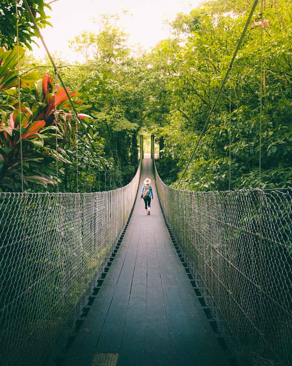 Hanging Bridges 