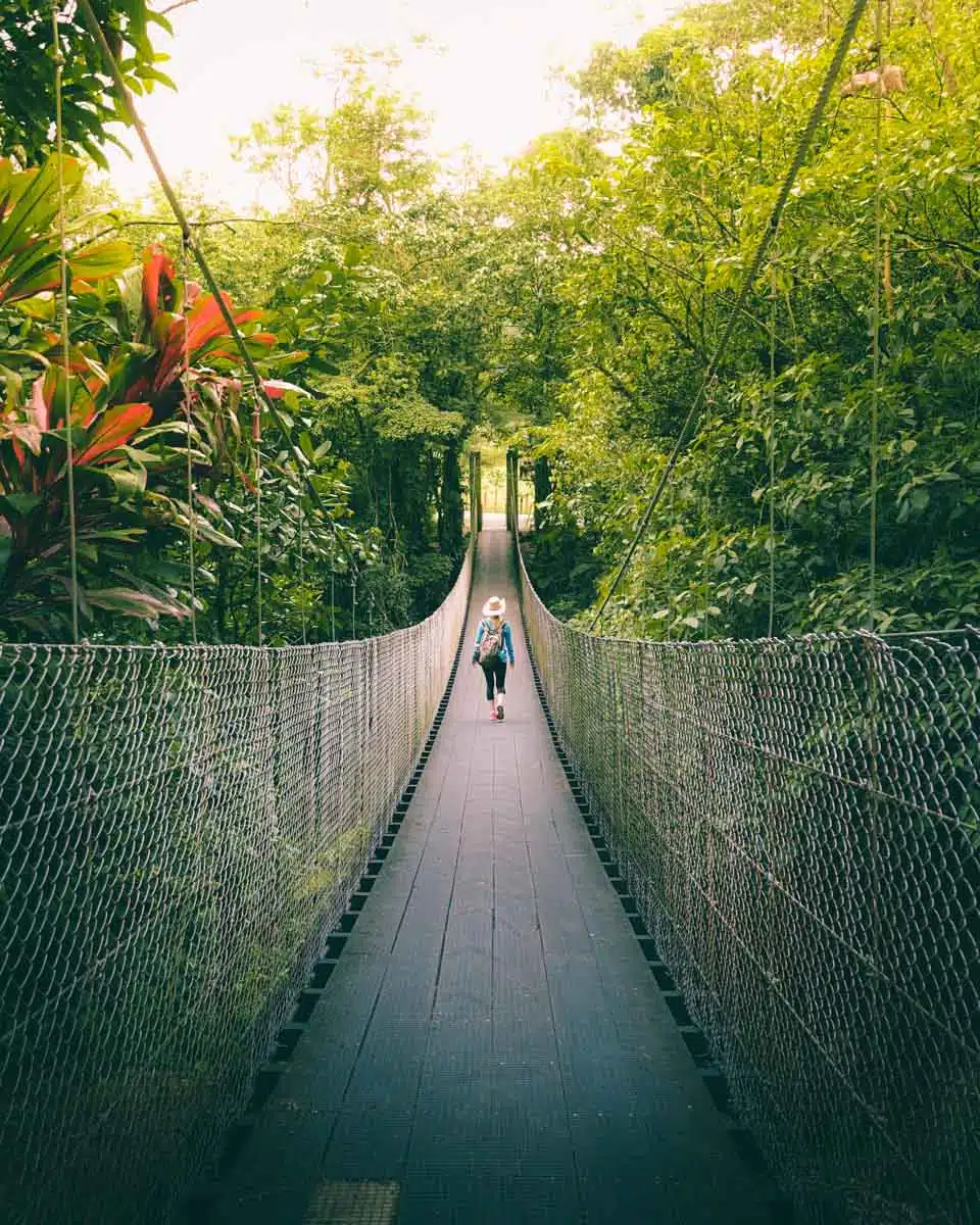 Hanging Bridges