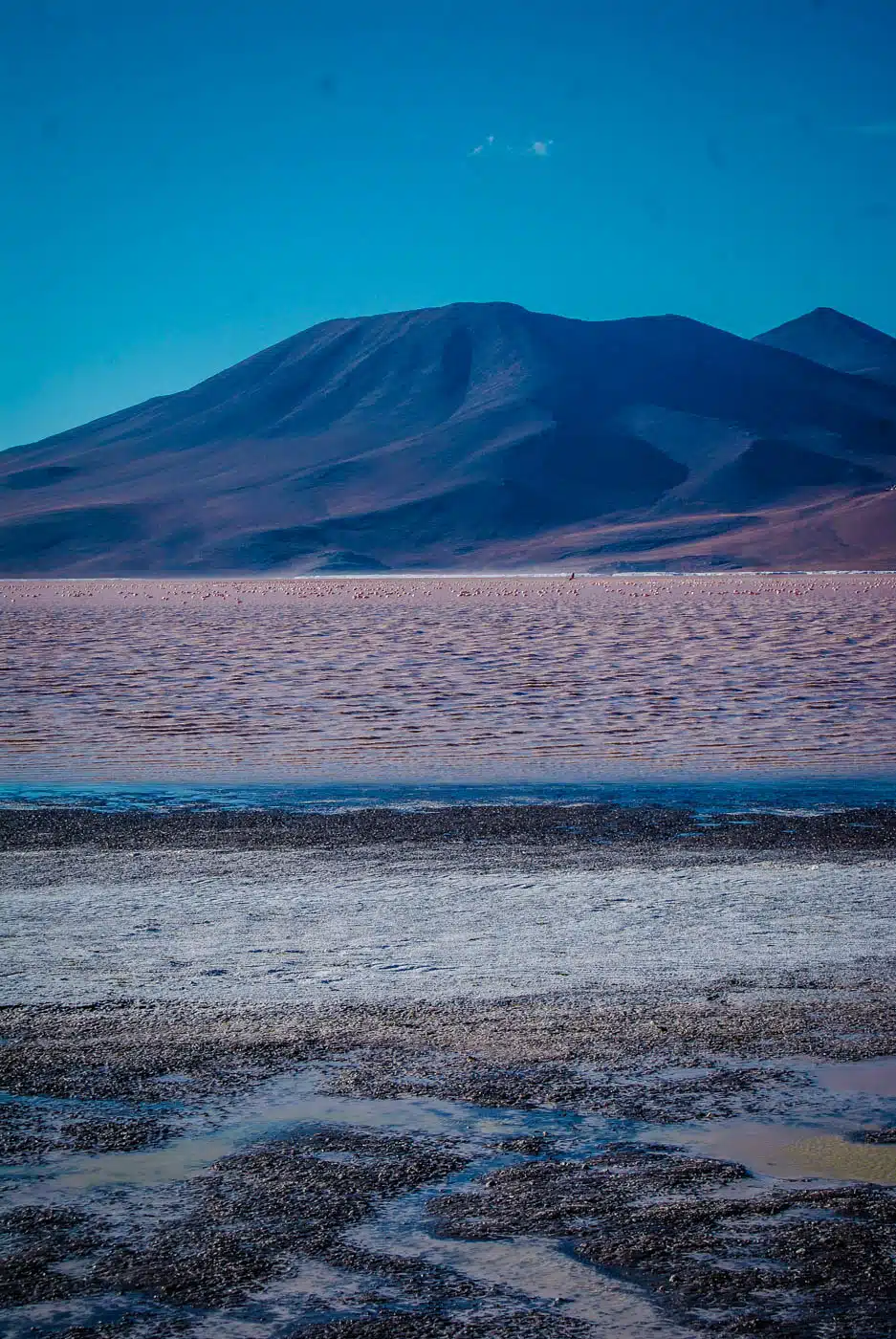 Laguna Colorada, Bolivia South America Travel Bucket List. 90 Awesome Things to do in South America When Backpacking and Travelling #southamerica #bucketlist #traveldestinations