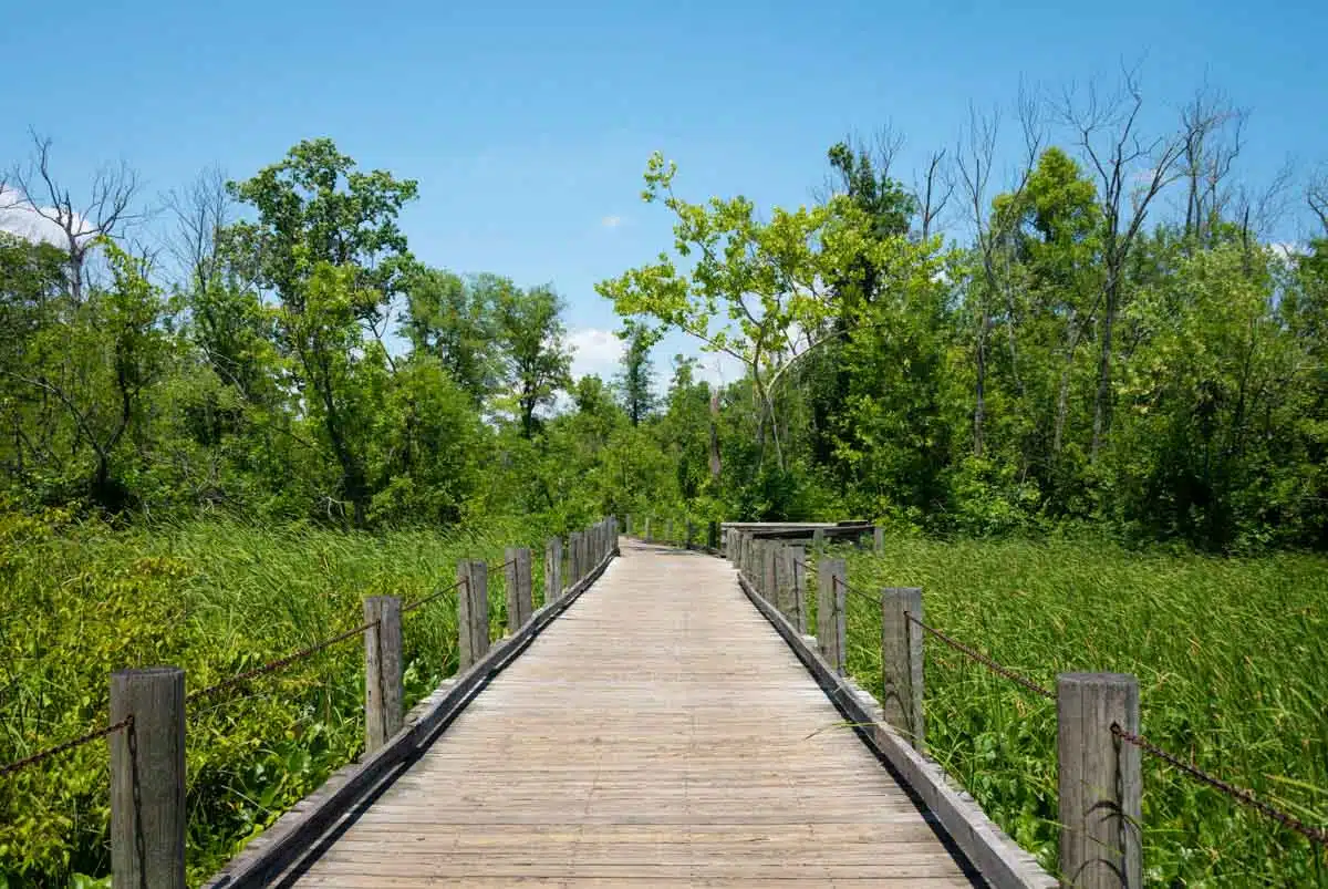 Mount Vernon Trail