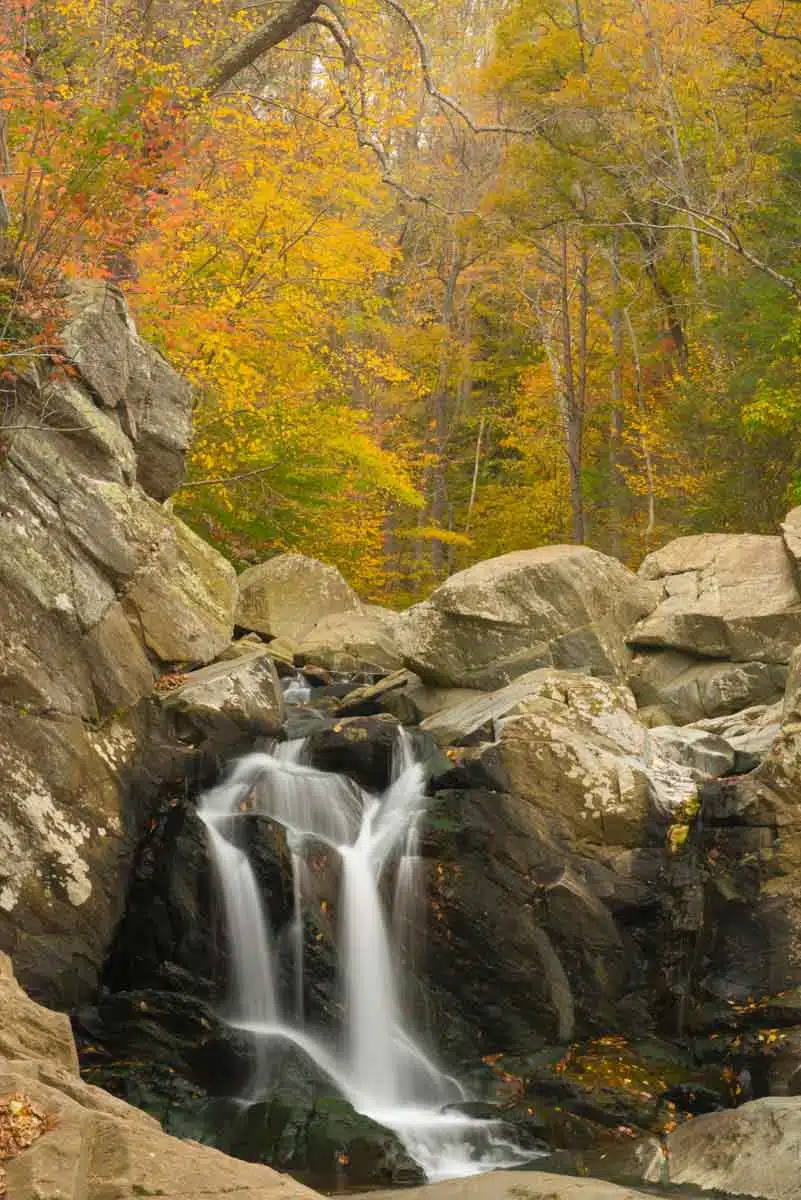 Scotts Run Nature Preserve