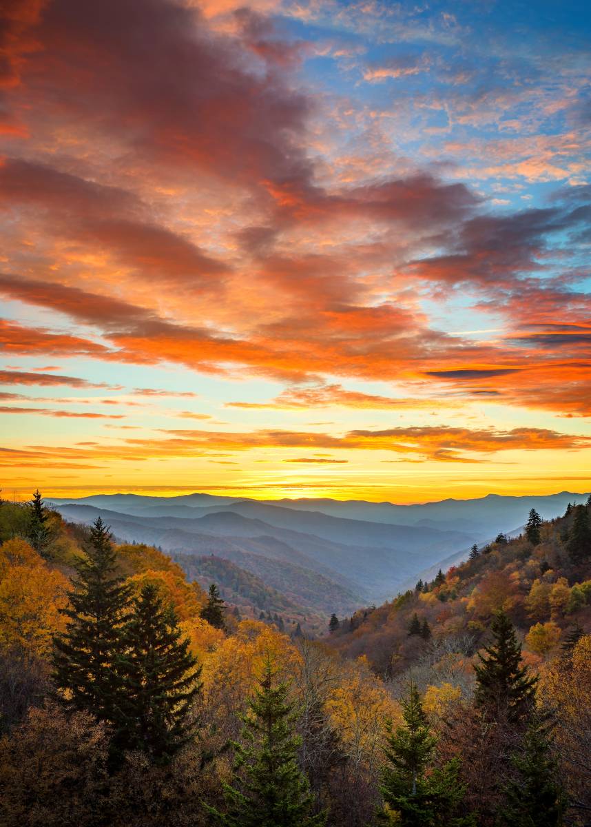 Great Smoky Mountains