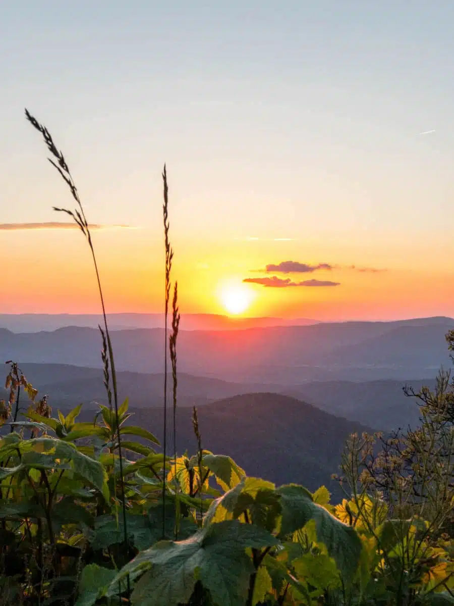 George Washington & Jefferson National Forests