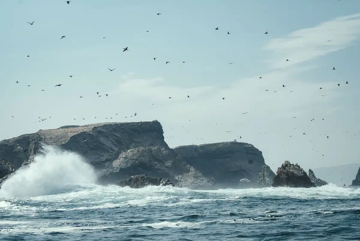 First Glimpse of the Islands