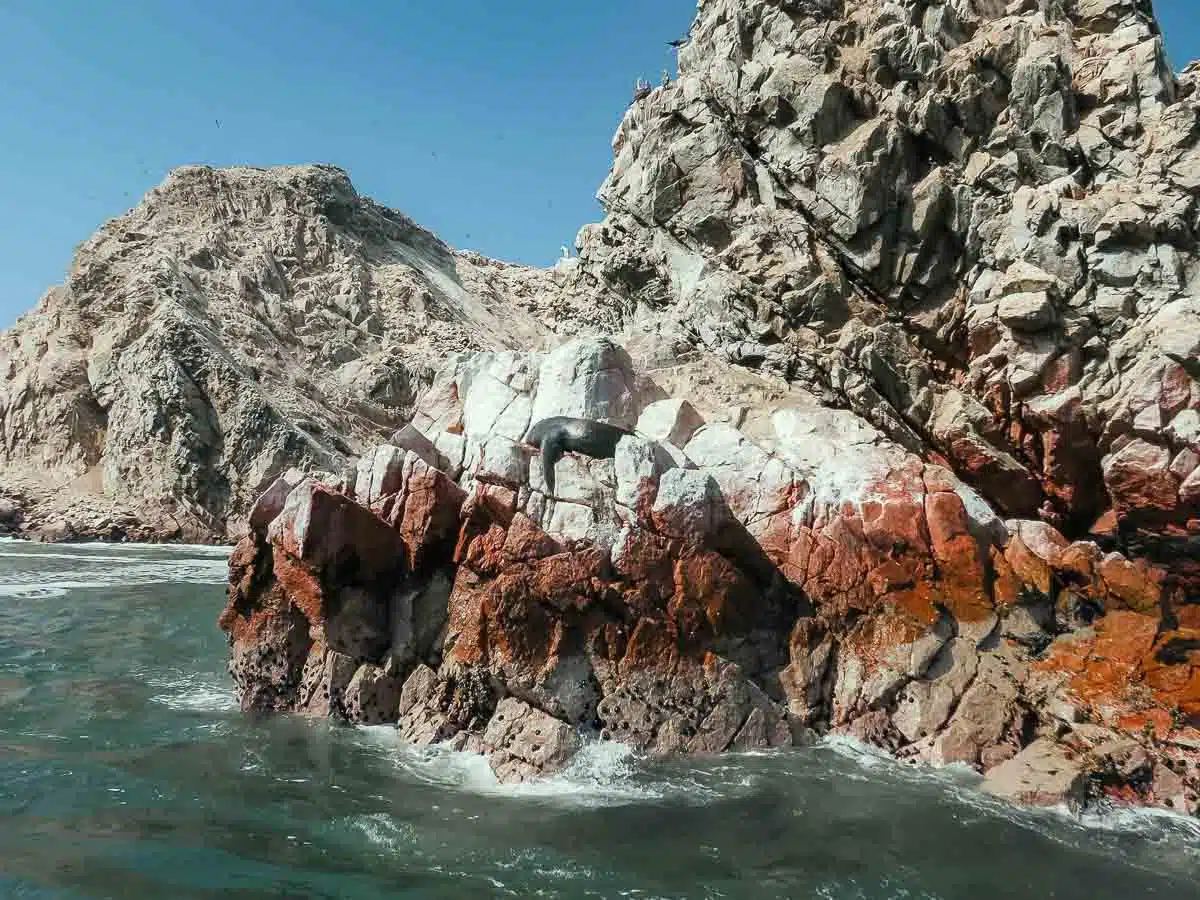 Guano Stained Islands Ballestas