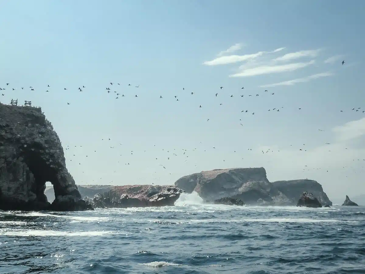 Ballestas Islands in the Summer