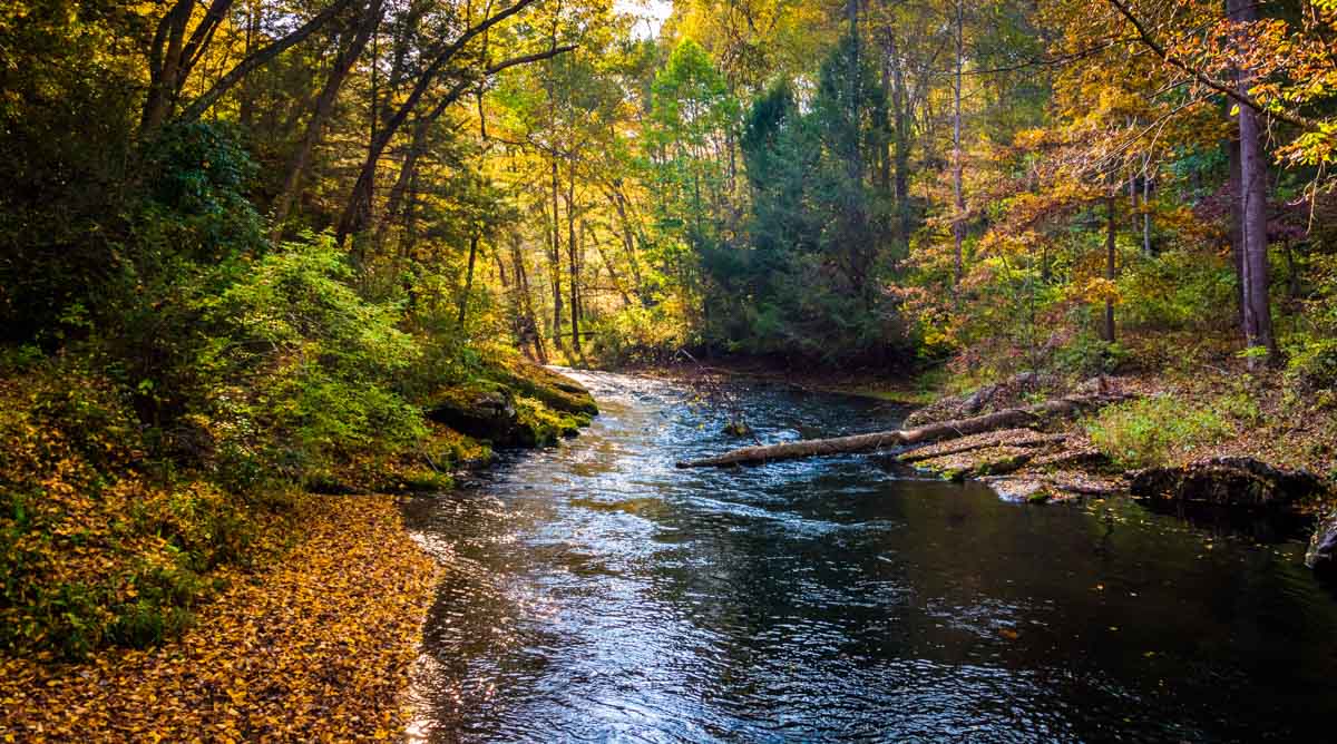 Gunpowder Falls State Park