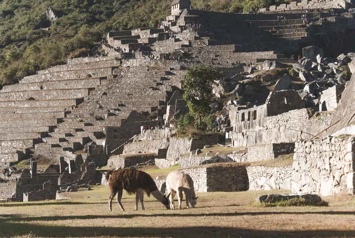 Macchu Picchu Peru 4