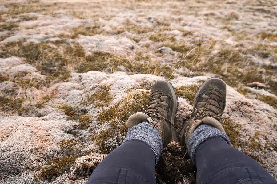 Hiking boots in Iceland moss background