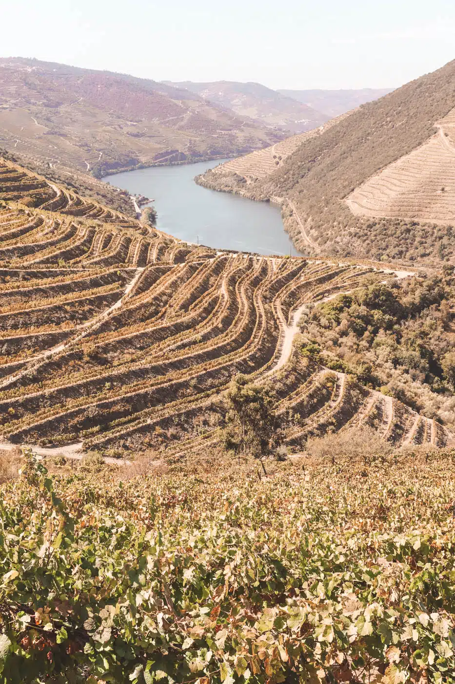 Douro Valley, Portugal