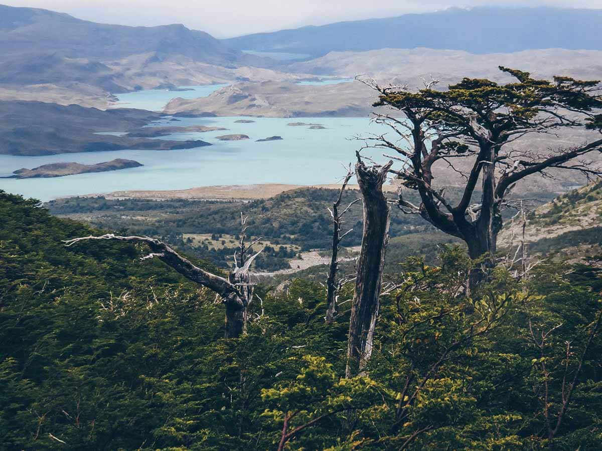 Torres Del Paine Chile