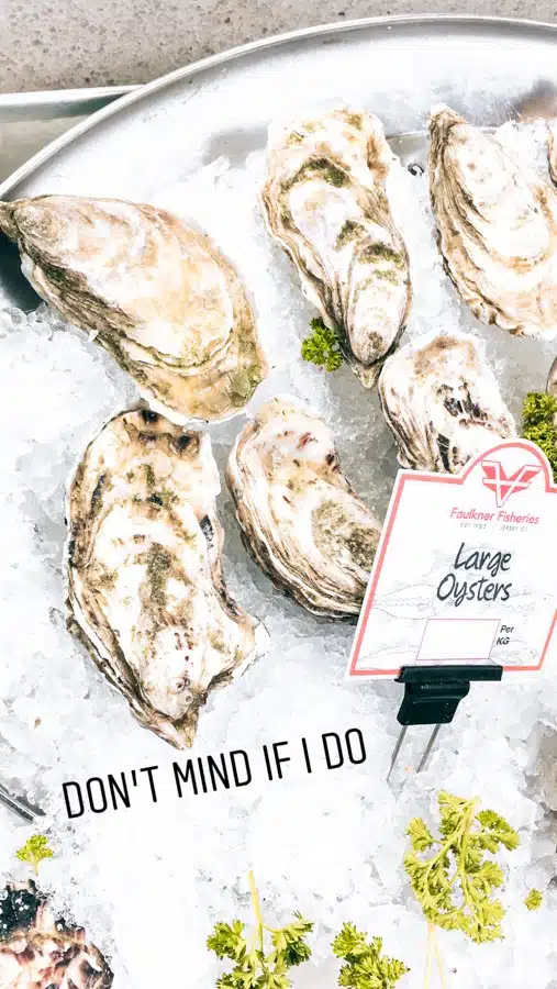 Oysters in Jersey 
