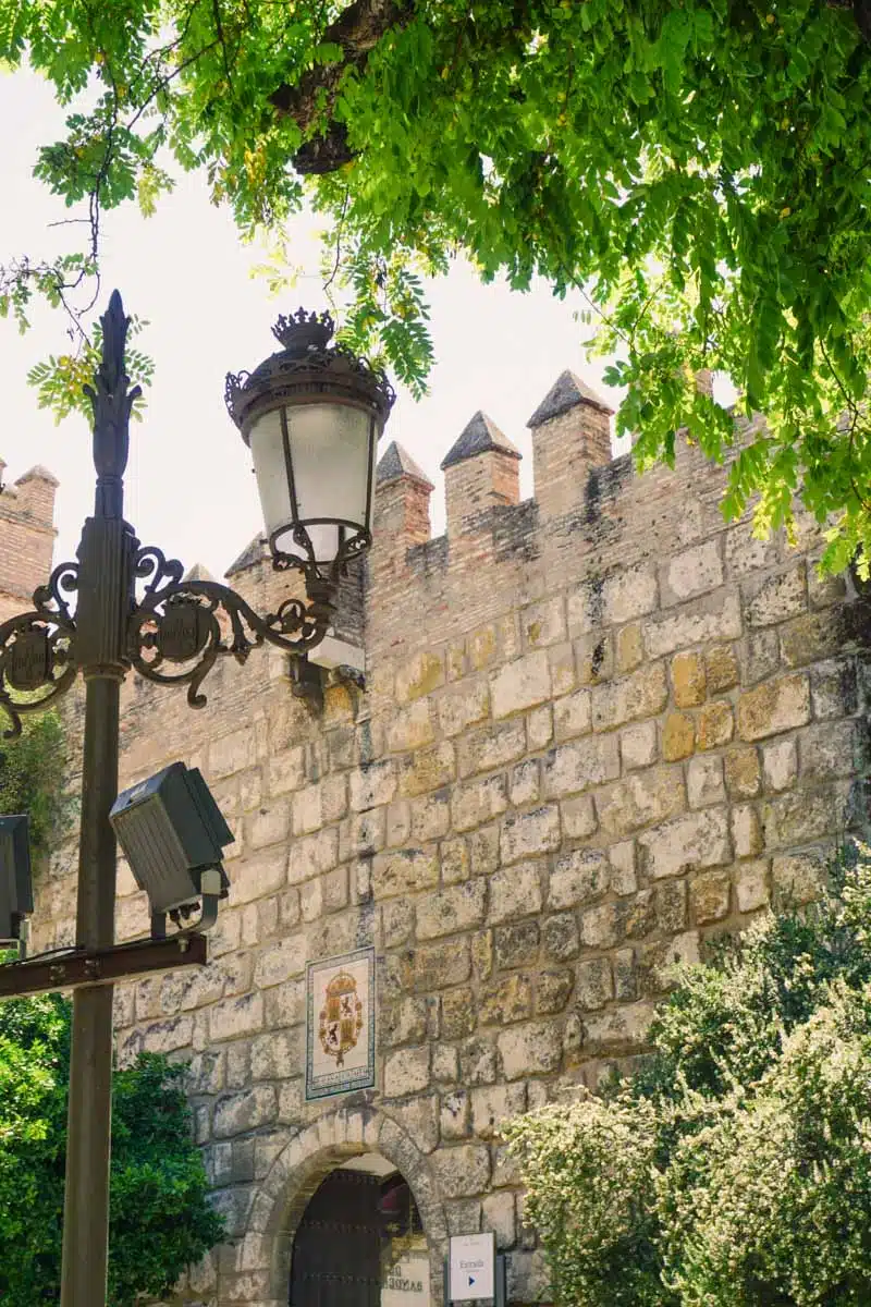 real alcazar seville guided tour