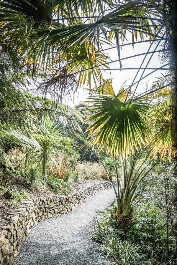 Trebah Gardens, Cornwall