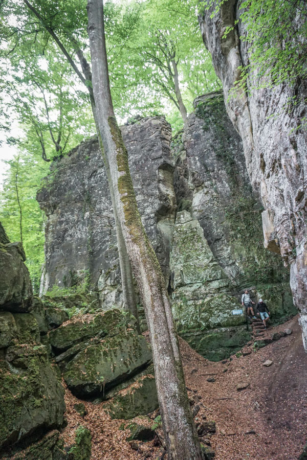 On the Mullerthal Trail 