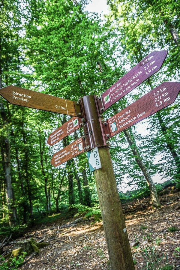 On the Mullerthal Trail, luxembourg