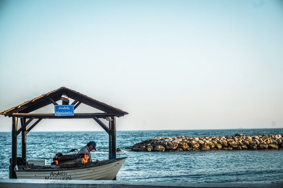 Malaga beach cooking