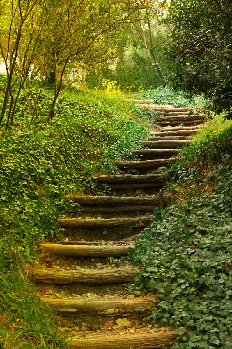 Tbilisi Botanical Garden