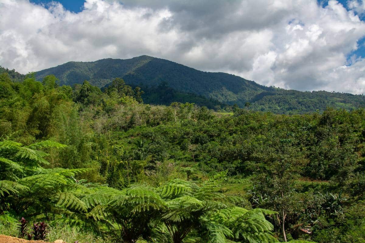 Mindanao Philippines