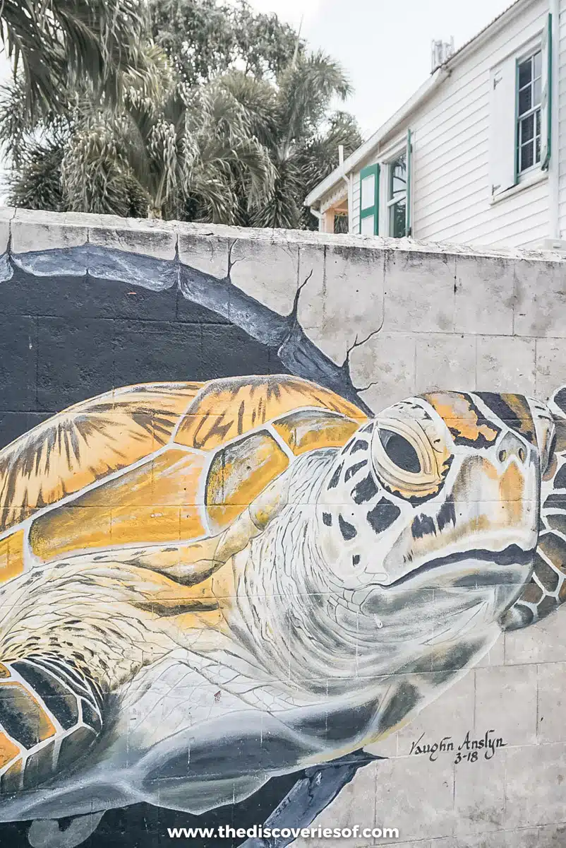 Street Art in Charlestown