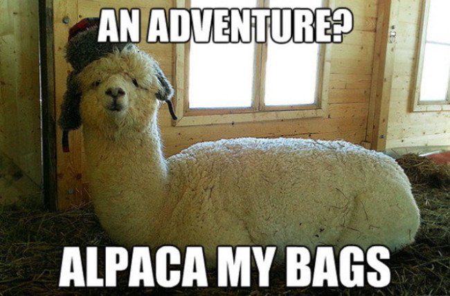 55 hilarious travel memes to inspire wanderlust and adventure #travel #funnymemes #memes