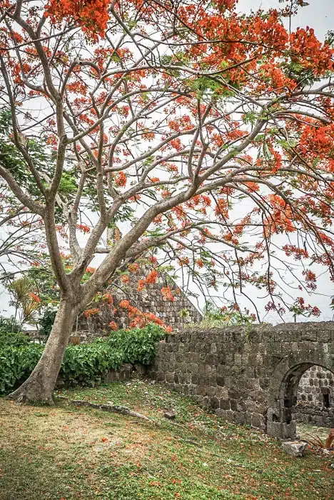 Another glimpse of the original estate, Nevis, Caribbean #travel #caribbean #traveldestinations