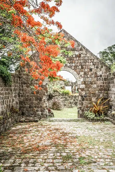 Part of the original Fothergill's Estate at nevis Heritage Village #travel #caribbean #traveldestinations