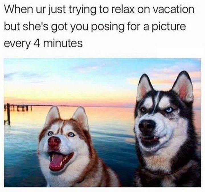 55 travel memes for your next vacations. Work, adventure, lol, repeat. That's life. Don't miss them #wanderlust #travel #traveling #memes