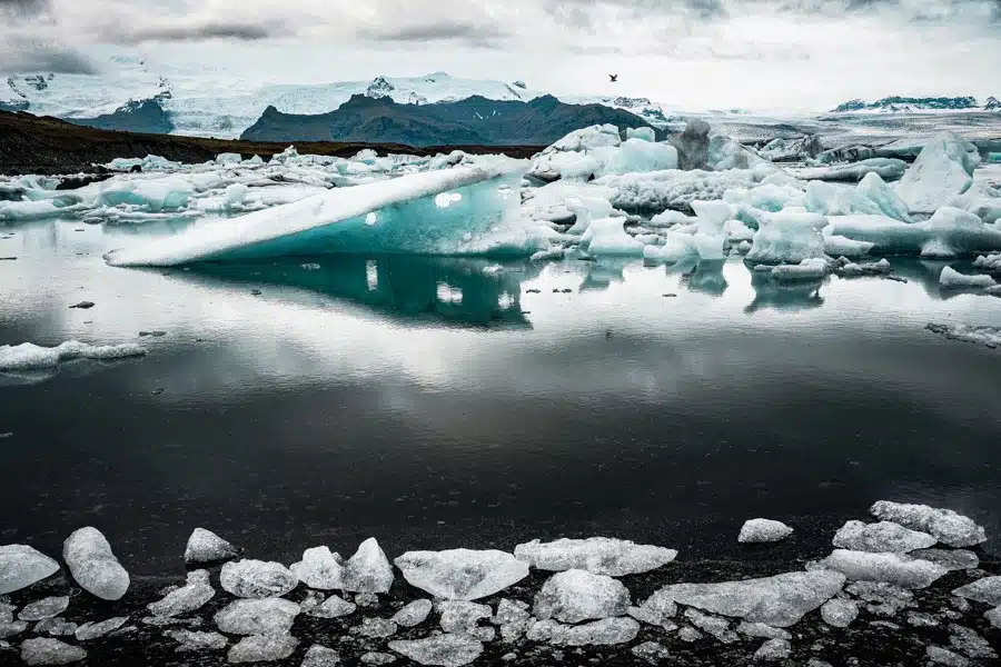 Jokulsarlon is guaranteed to make you go WOW. This incredible glacial lagoon is one of Iceland's coolest photography spots. If you're looking for things to do in Iceland, this should be at the top of your list. Here's why #travel #beautiful #wanderlust