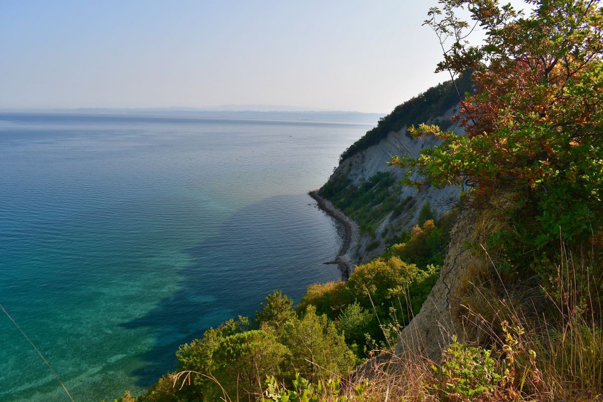 Strunjan Nature Reserve