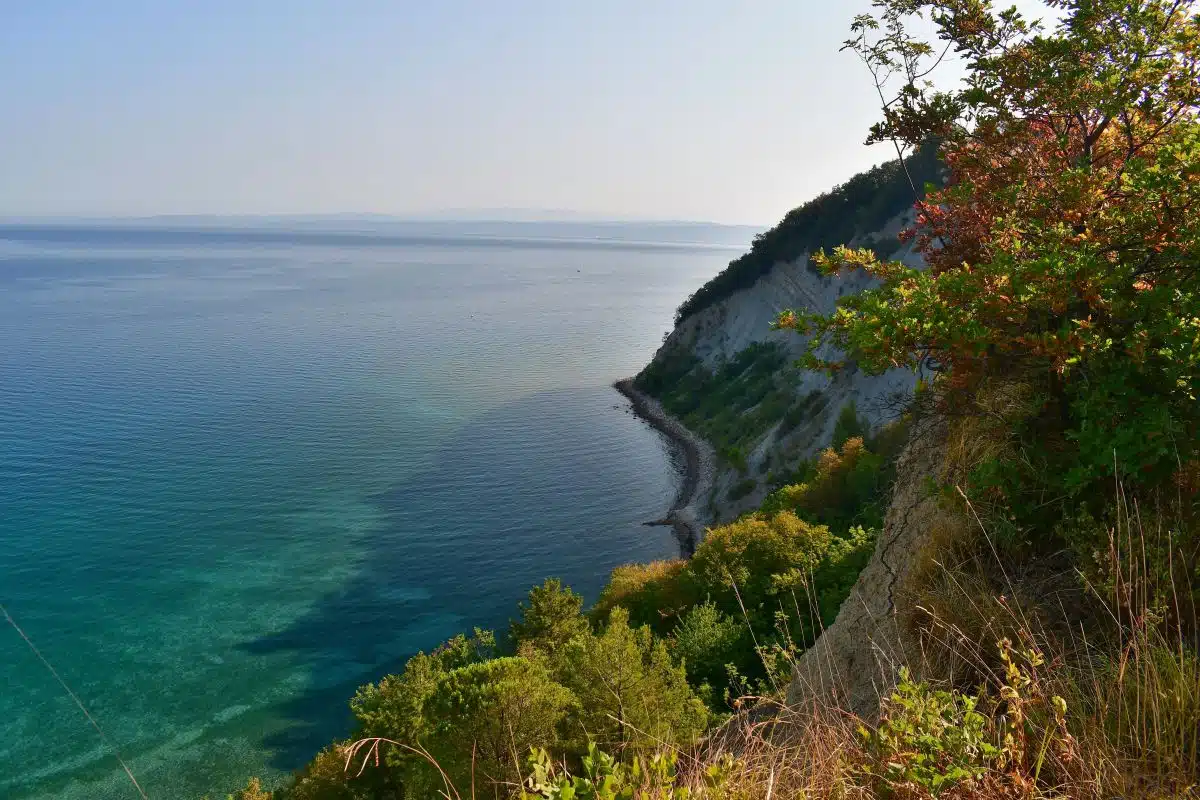 Strunjan Nature Reserve