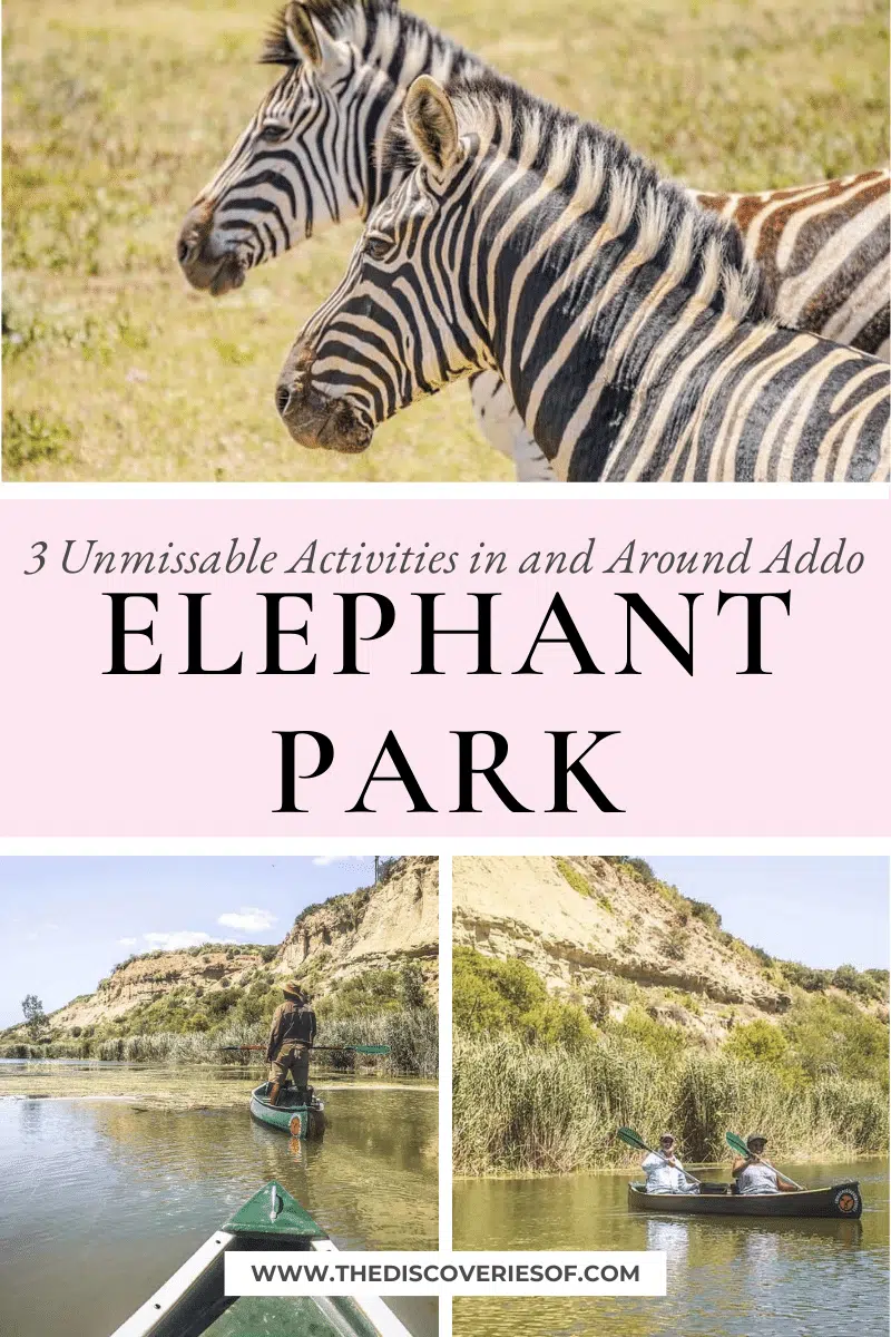 3 Unmissable Activities in and Around Addo Elephant Park