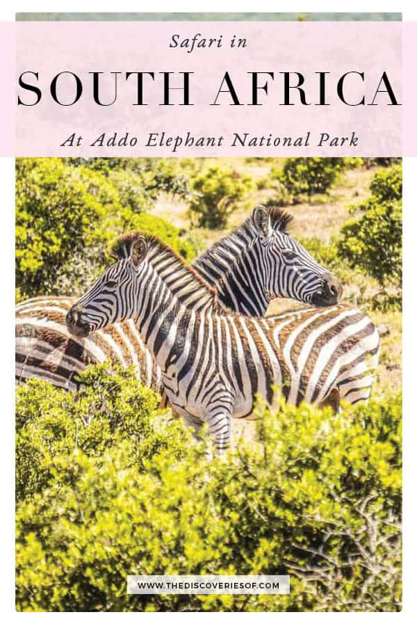 Addo