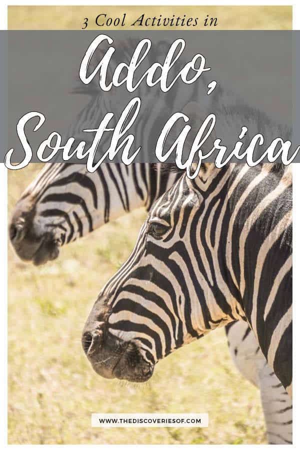 Safari, adventure, wildlife - Here's what you shouldn't miss in Addo Elephant National Park in South Africa #travel #southafrica #safari