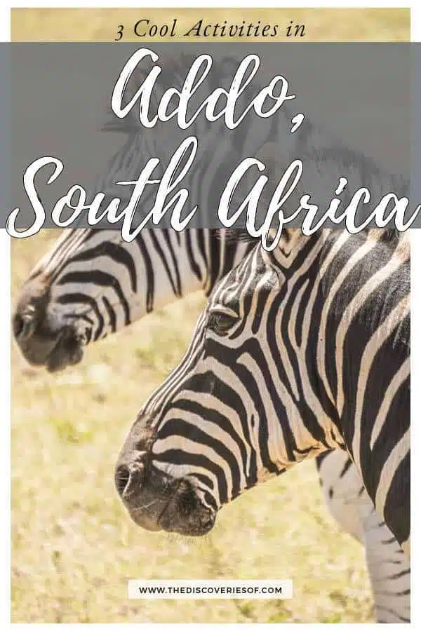 Safari, adventure, wildlife - Here's what you shouldn't miss in Addo Elephant National Park in South Africa #travel #southafrica #safari