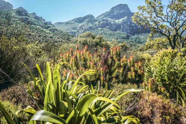 Where To Go In February Best Holiday Destinations The Discoveries Of