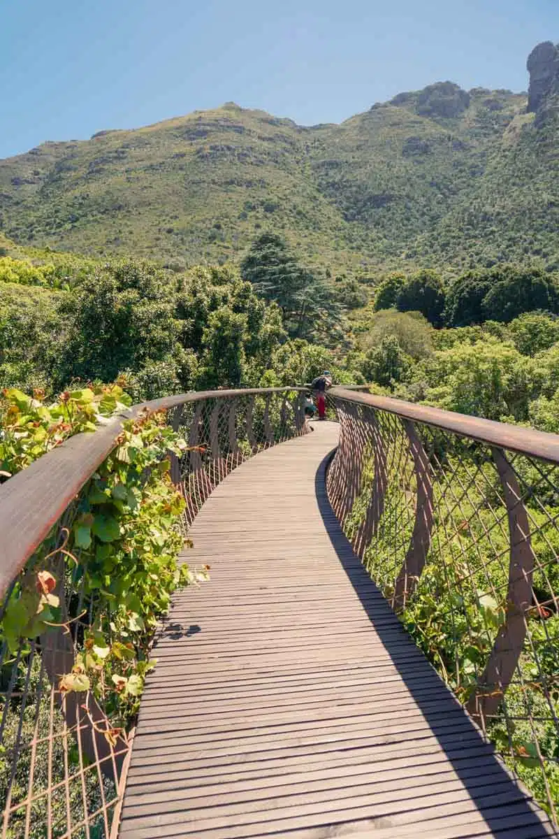 Kirtenbosch Botanical Gardens