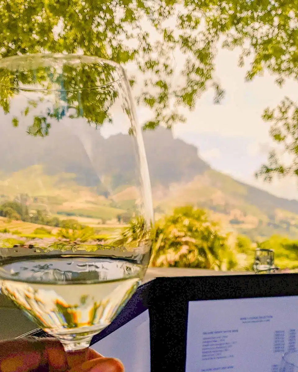 Wineries in Stellenbosch