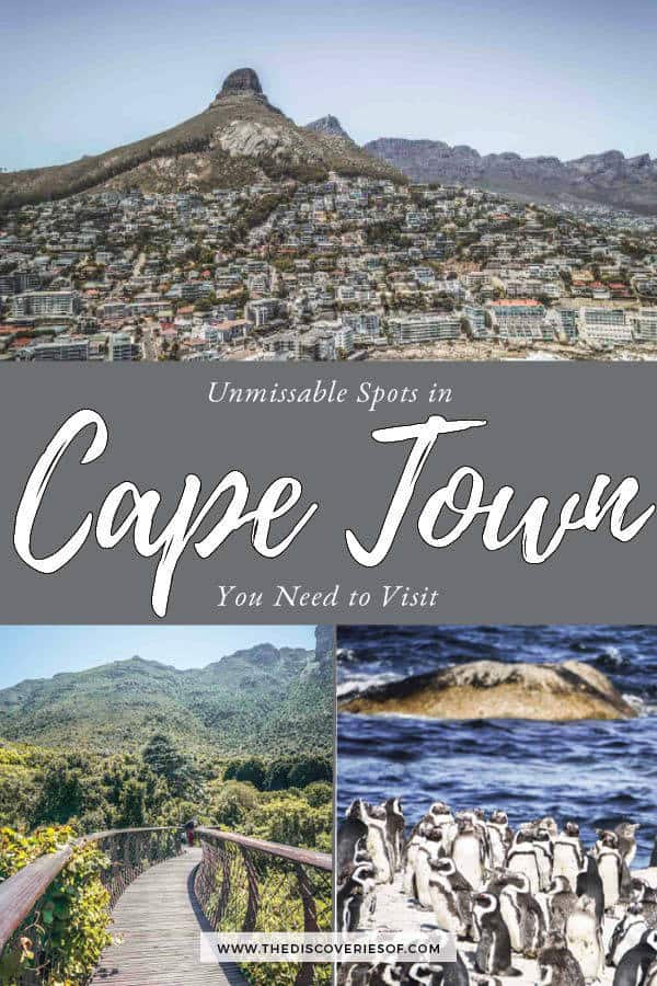 Things to do in Cape Town, South Africa
