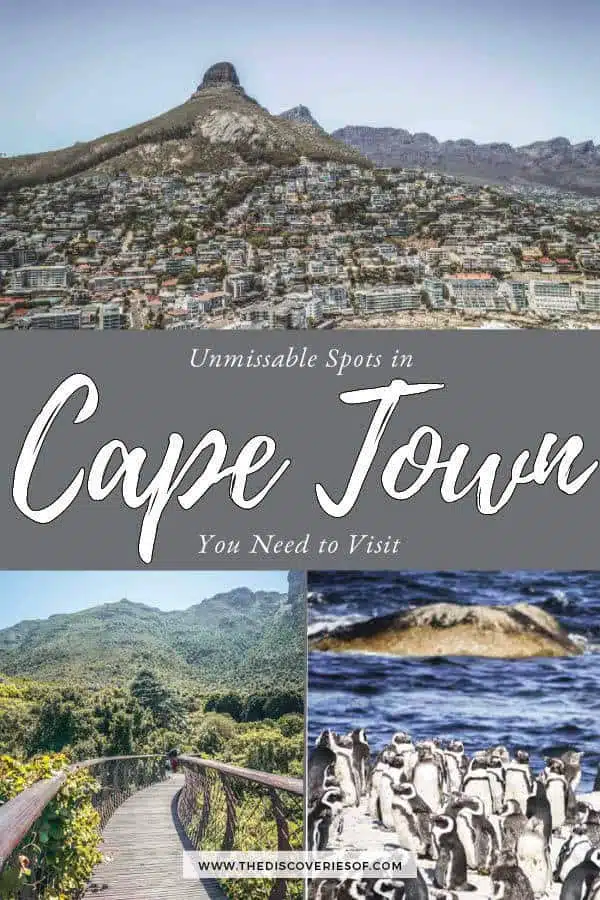 Things to do in Cape Town, South Africa